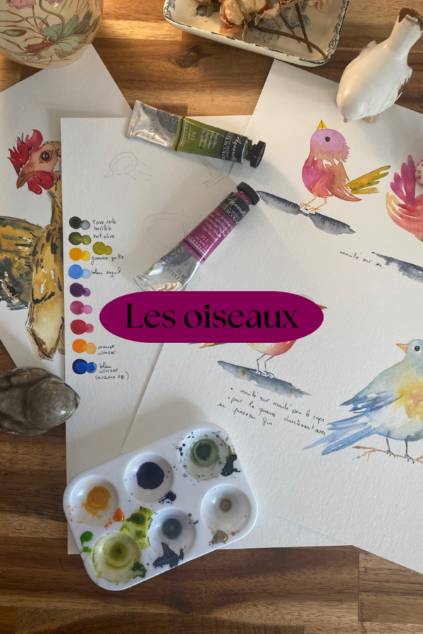 Atelier Aquarelle 25/02 : Les oiseaux